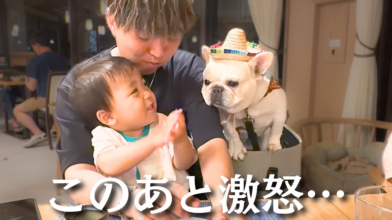 Dog-friendly Izu trip] Our 2-year-old got seriously mad at Daddy