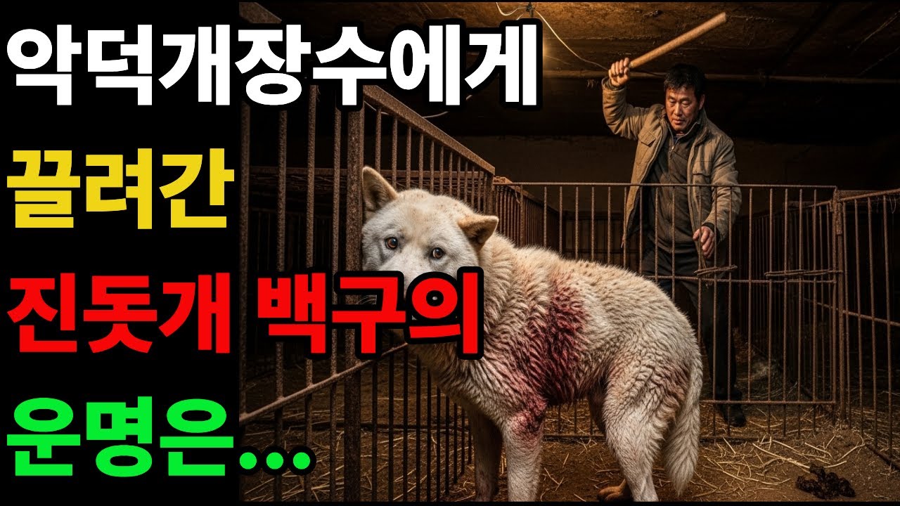 악덕 개장수에게 끌려가 죽다 살아난 백구