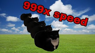 Maxwell Cat 999x  Speed