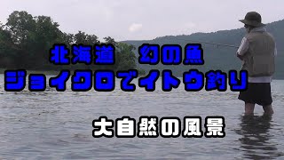 【幻の魚】ジョイクロで北海道イトウ釣りへ