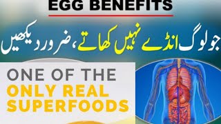 Eggs benefits for health hair and skin in urdu hindi.@Mariam with health and beauty