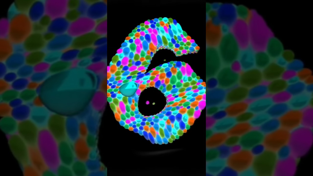 Six Wave Warp Effects 