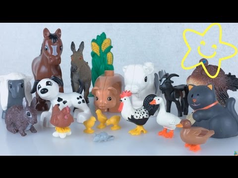 Apprendre les animaux de la ferme et leurs cris en Français