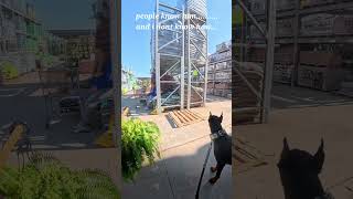 Doberman shopping day #Doberman #dogs