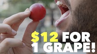 $12 For 1 Grape! Resimi