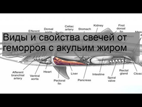 Виды и свойства свечей от геморроя с акульим жиром