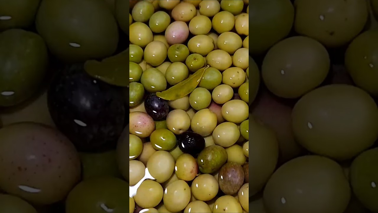 Zeytin Nasıl Kurulur ? Yumuşamayan Zeytin Tarifi / Olive 🫒