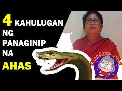 Video: Ang Aking Halamang Ahas ay Nalalagas: Mga Dahilan ng Biyenan na Dilang Nalalatag ang mga Dahon