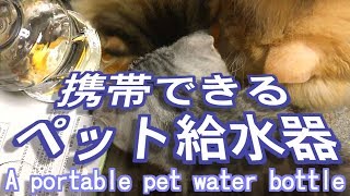 ペット用携帯給水器【可愛い子猫おもしろい猫動画】犬グッズ