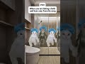 POV: when your song starts playing in the shower”#catmeme #cat #relatable