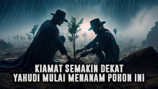 BESOK KIAMAT ❗ Yahudi Mulai Menanam Pohon Ini Sesuai Sabda Rasulullah || Sejarah Islam