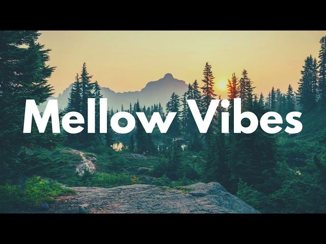Mellow Vibes Lofi Mix | Chill and Study Music class=