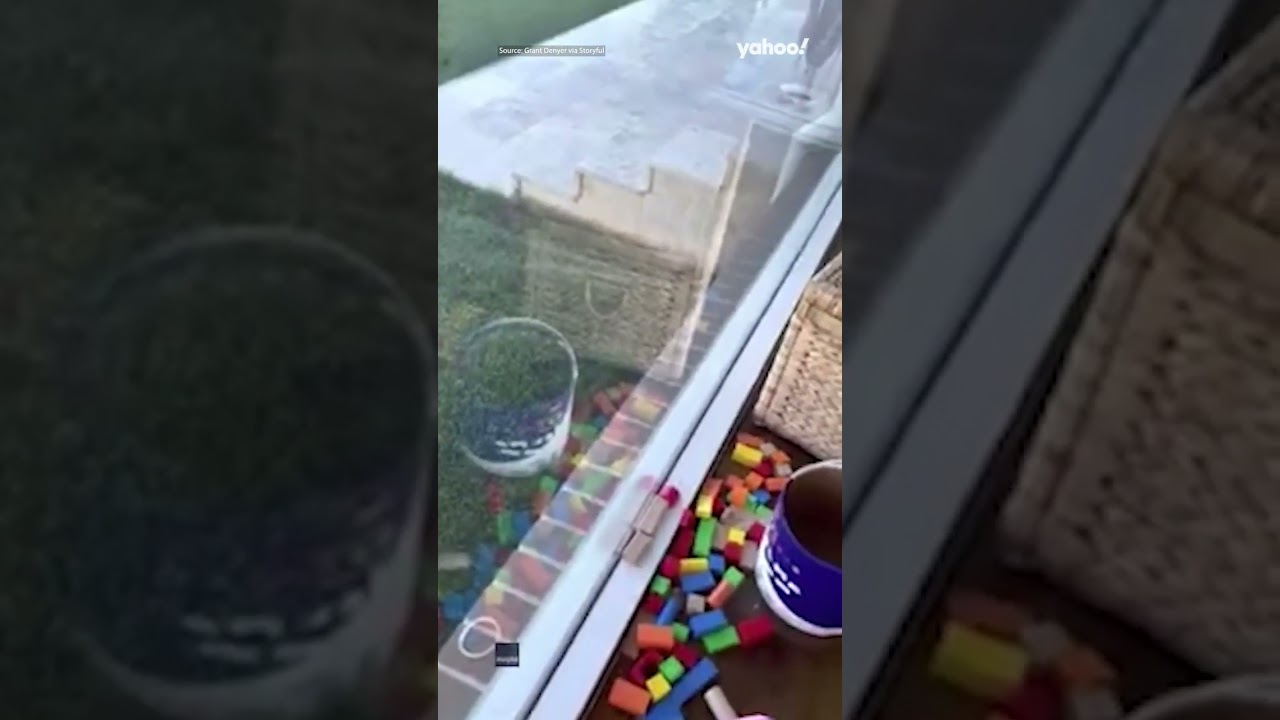 Aussie mum protects family from deadly snake with BBQ tongs | 