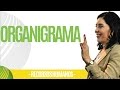 Recursos Humanos ORGANIGRAMA (Importante) Ana María Godinez Software de RRHH