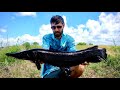 The RAREST FISH EVER CAUGHT ON VIDEO?!