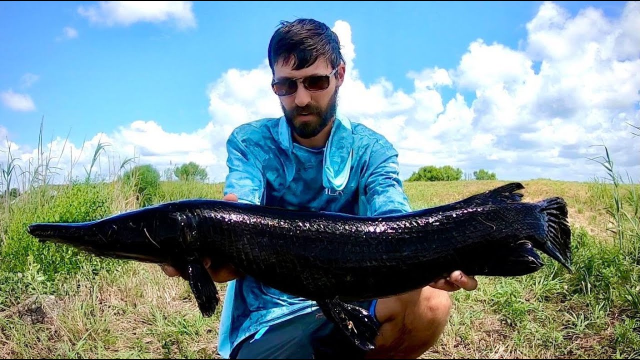 The RAREST FISH EVER CAUGHT ON VIDEO YouTube the-rarest-fish-ever-caught-on-video-youtube