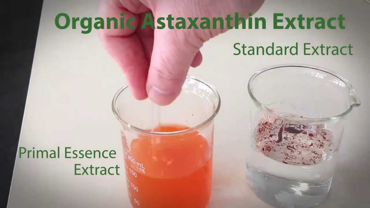 Primal Essence's Water Dispersible Organic Astaxanthin Extract for Food and Beverage