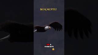 ##boanoiteee #jesus #gratidão #motivação #fé #amo #reflexão #motivacional #abençoe #amem