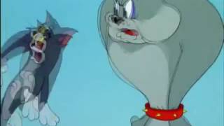 Tom And Jerry In The Dog House Cat Napping Hammock