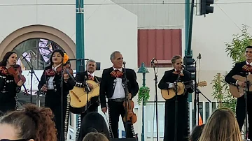 Dia De Los Muertos Mariachi - Mexican Traditional Music - Traveln5