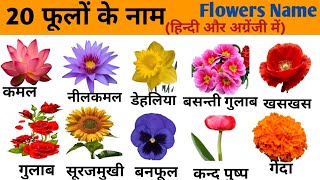 20 फूलों के नाम हिन्दी और अंग्रेजी  में | Flowers Name in Hindi & English vocabulary |