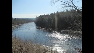 3941 NORTH SHORE RD video tour