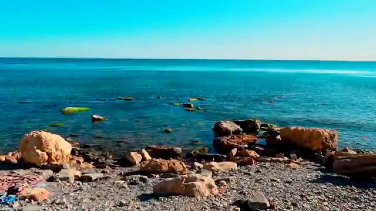 Видеоролики с дикого пляжа