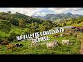 Nueva Ley de Ganadería en Colombia: Lo que debes saber - TvAgro por Juan Gonzalo Angel