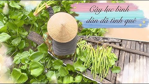Cây lục bình với bà con miền sông nước I CÂU CHUYỆN MIỀN TÂY #13