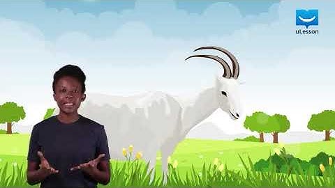 Laboratory preparation of chlorine 1