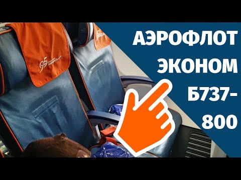 Аэрофлот Эконом Класс Боинг 737-800, Москва (SVO) - Париж (CDG), SU2462
