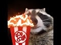 popcorn bad ending :(