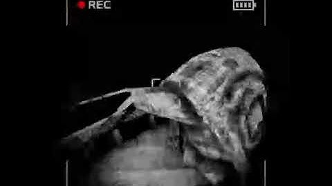 content warning: Snail man Arc