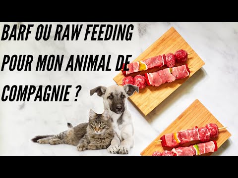 BARF ou Raw Feeding : quelle alimentation naturelle pour mon animal ? - video from Kibbs