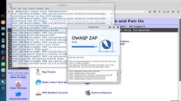 OWASP ZAP: Web App Vulnerability Assessment (Partial Site)