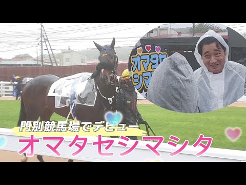 競馬　オマタセシマシタ オマタセシマシタ (Omataseshimashita) | 競走馬データ - netkeiba