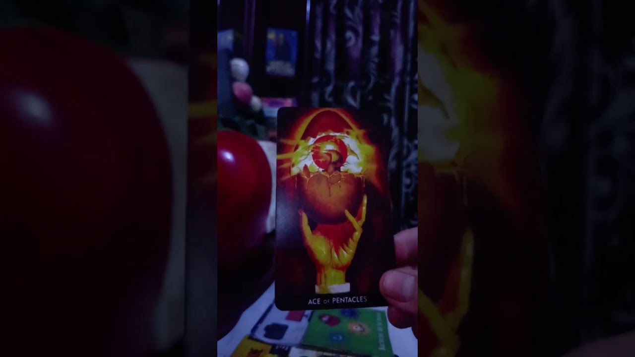 SALE A LA LUZ 😅UN VIDEO DE LA KARMICA 👁️‍🗨️🤳Y LA TERMINAN DEJANDO 🐖🐽🤣