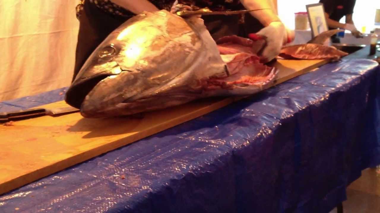Tuna Spine YouTube