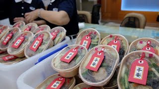 【人間菩提】20200623 - 明理共善救地球