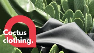 Leather made from cactus is taking fashion industry by storm | SWNS