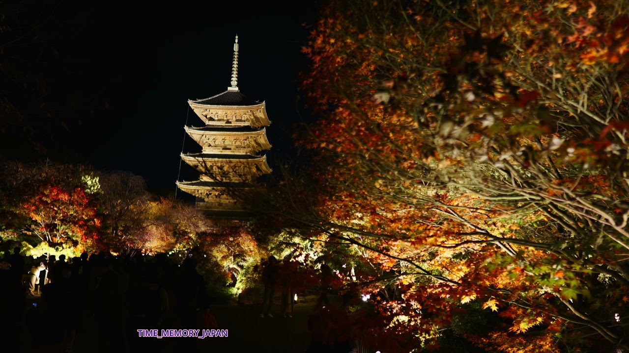 4k そうだ京都へ行こう 東寺 ライトアップ Youtube