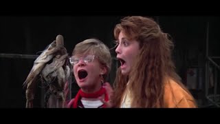 The Goonies Netflix / Amazon Prime Video Commentary Track The Goonies Netflix / Amazon Prime Video Commentary Track