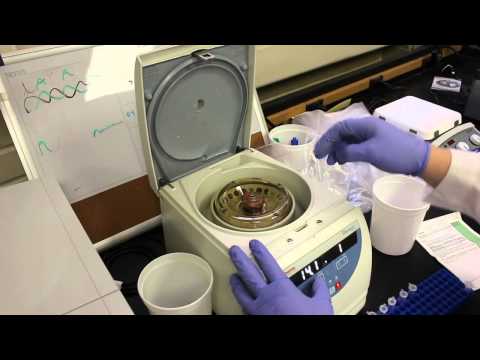 Using a Centrifuge