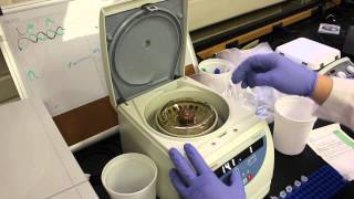 Using a Centrifuge