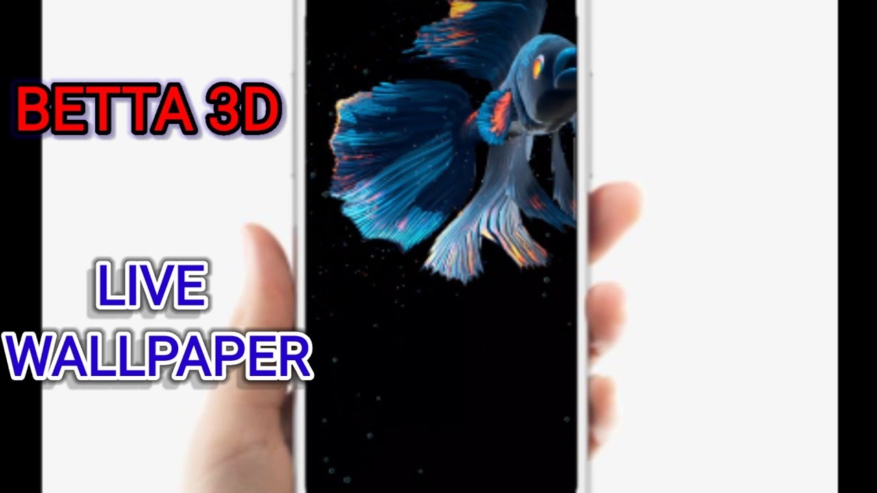 Betta fish 3D  live wallpaper