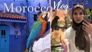 THE BLUE CITY 2021 | CHEF  CHAOUEN, BTS MEAL REVIEW, AND TALKING PARROTS | TRAVEL VLOG 2021