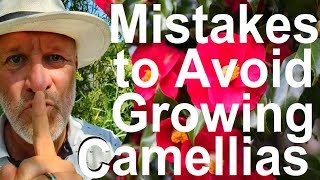 Mistakes to Avoid Growing Camellias