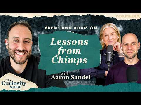 What Chimpanzees Reveal About How We Connect and Divide with Aaron Sandel | The Curiosity Shop