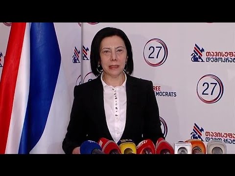 \"თავისაუფალი დემოკრატების\" წევრის ნინო გოგუაძოს ბრიფინგი