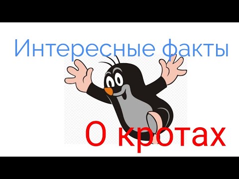 Интересные факты о кротах